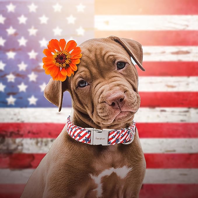 Unique style paws Independence Day Dog Collar Metal Buckle Striped Star Collar - Image 4