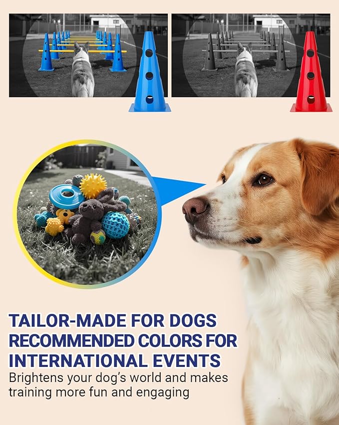 Dog Agility Course Backyard Set, Dog Agility Hurdle Cone Set - Image 4