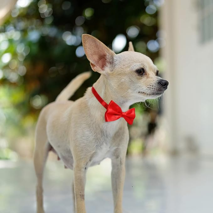 Black and Red Bow Tie for Dogs, KOOLMOX Red and Black Dog Bow - Image 4