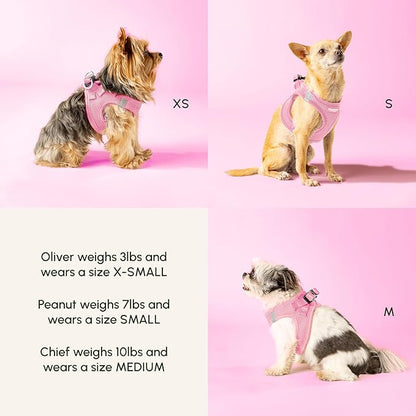 Downtown Pet Supply Step in Dog Harness - Image 6