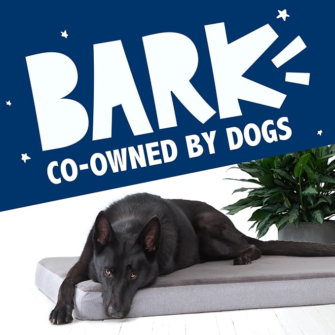 Barkbox Orthopedic Dog Bed - Image 7