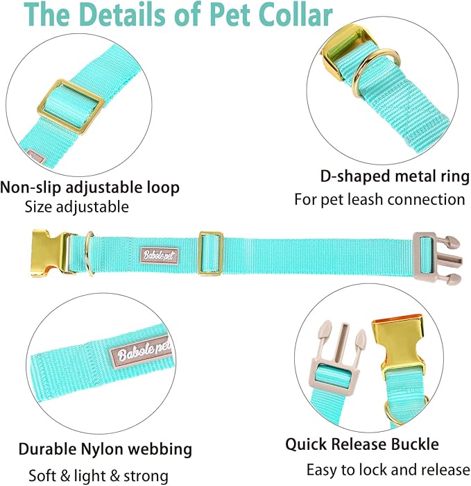 Nylon Dog Collar - Image 4