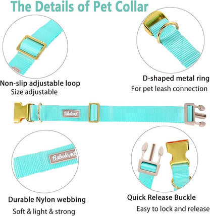 Nylon Dog Collar - Image 4