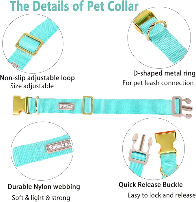 Nylon Dog Collar - Image 4