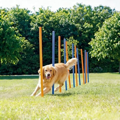 PAWISE Dog Agility Training Equipment, 12 Weave Poles - Image 2