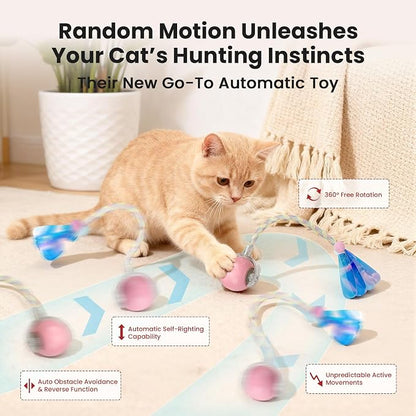 Rocfish Durable Interactive Cat Toys - Image 4