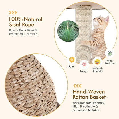 PETSITE Modern Cat Tree Tower, Paper Rope Natural Bowl Shaped - Image 4