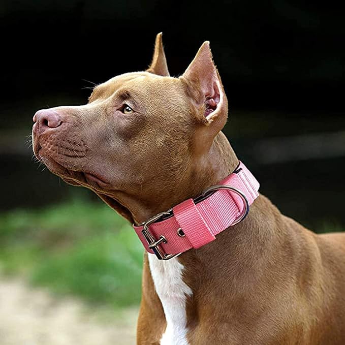 Heavy Duty Tactical Dog Collar - Image 7