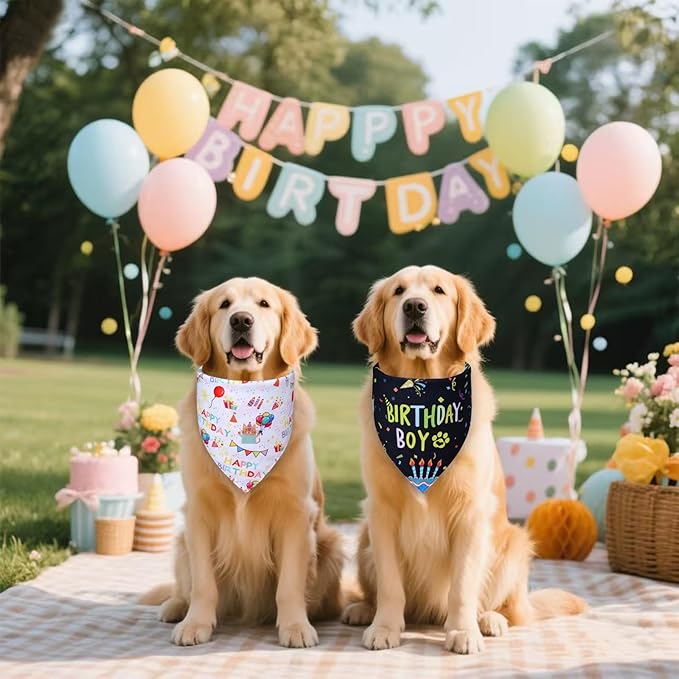 Dog Birthday Bandanas, Party Outfit Gift - Image 4