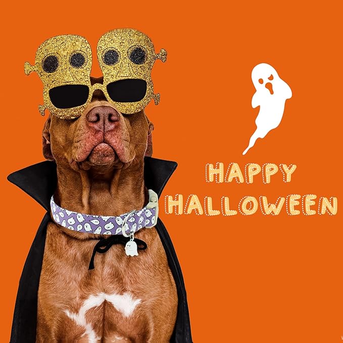 Faygarsle Halloween Dog Collar - Image 6
