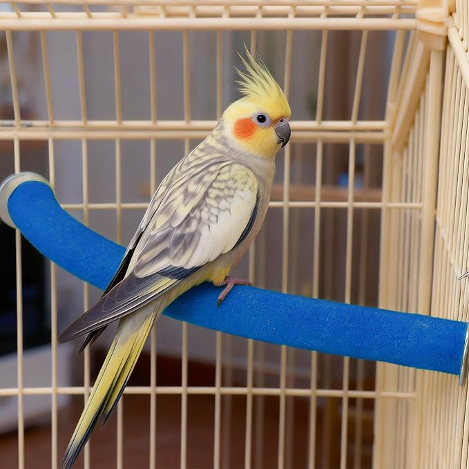 Rypet Parrot Perch Stand Toy Used - Image 3