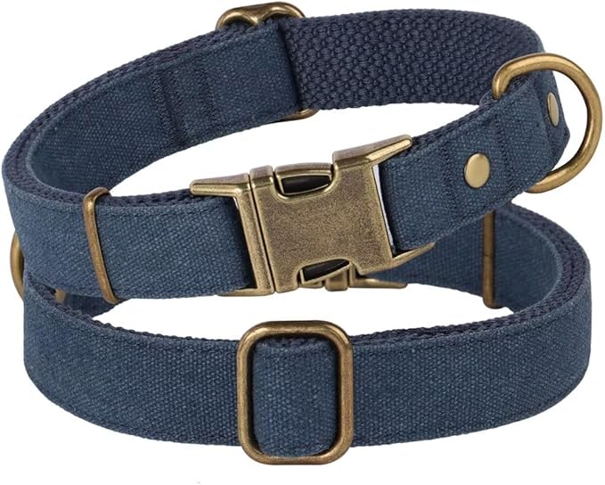 PET ARTIST Dog Collars for Medium Dogs, Soft Padded Premium Nylon Dog Collar - Image 7