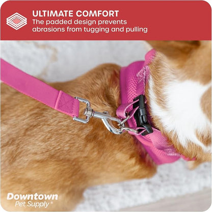 Downtown Pet Supply Step-in Dog Harness – No Pull, Adjustable Padded Mesh - Image 6
