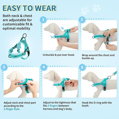 SlowTon No Pull Small Dog Harness and Leash Set, Puppy Soft Vest Harness Neck & - Image 9
