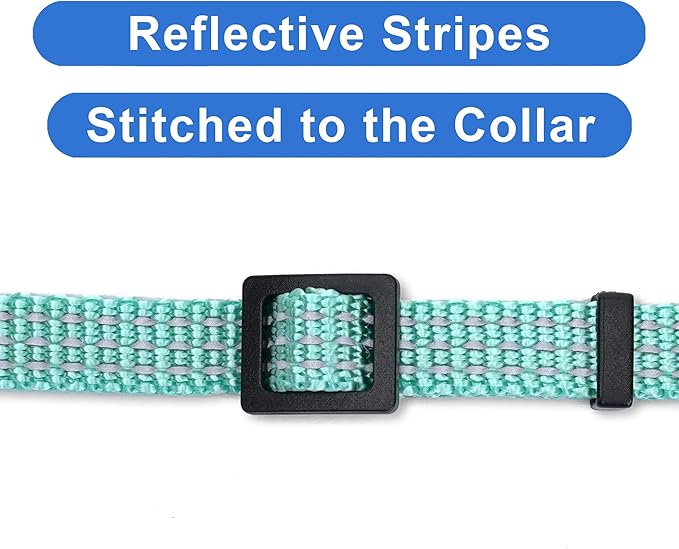 Pawtitas Reflective Teal Cat Collar - Image 4
