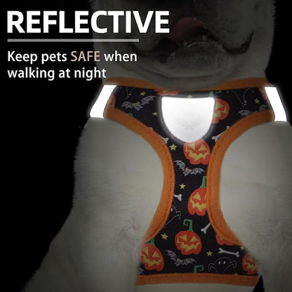 PUPTECK Adjustable Dog Harness Collar and Leash Set Step in No Pull Pet Harness - Image 5