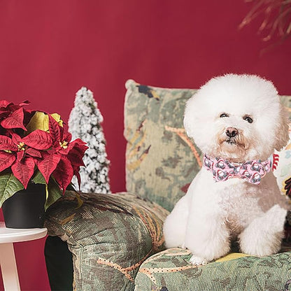 Christmas Dog Collar - Image 6
