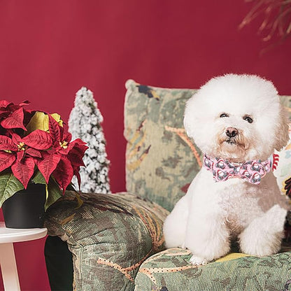 Christmas Dog Collar - Image 6