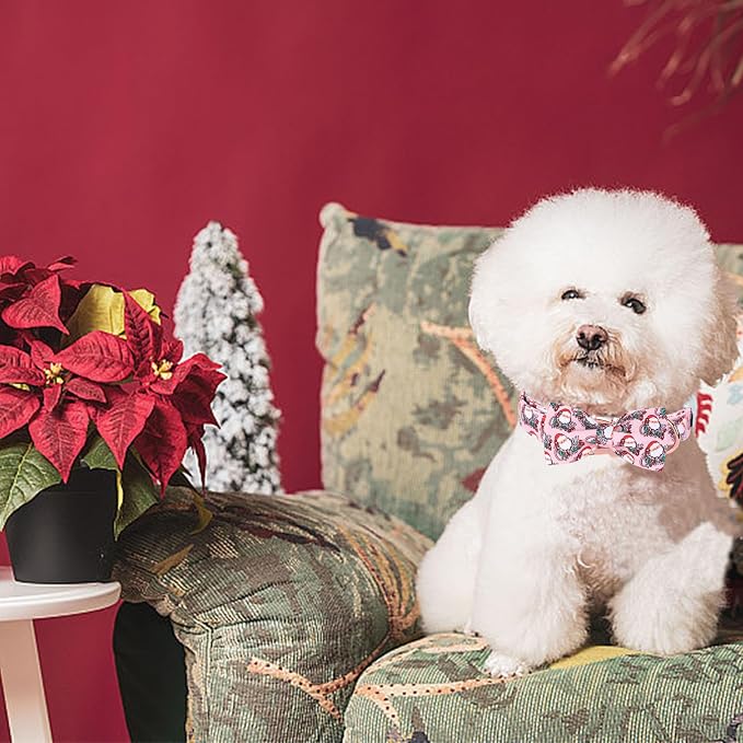 Christmas Dog Collar - Image 6
