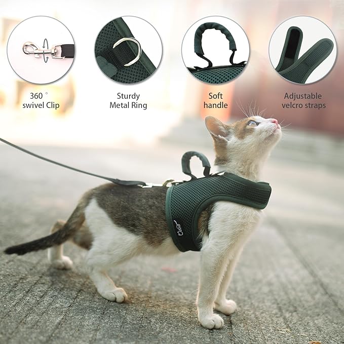 Kitty Harness and Leash for Walking Escape Proof Breathable Mesh Fabric - Image 3