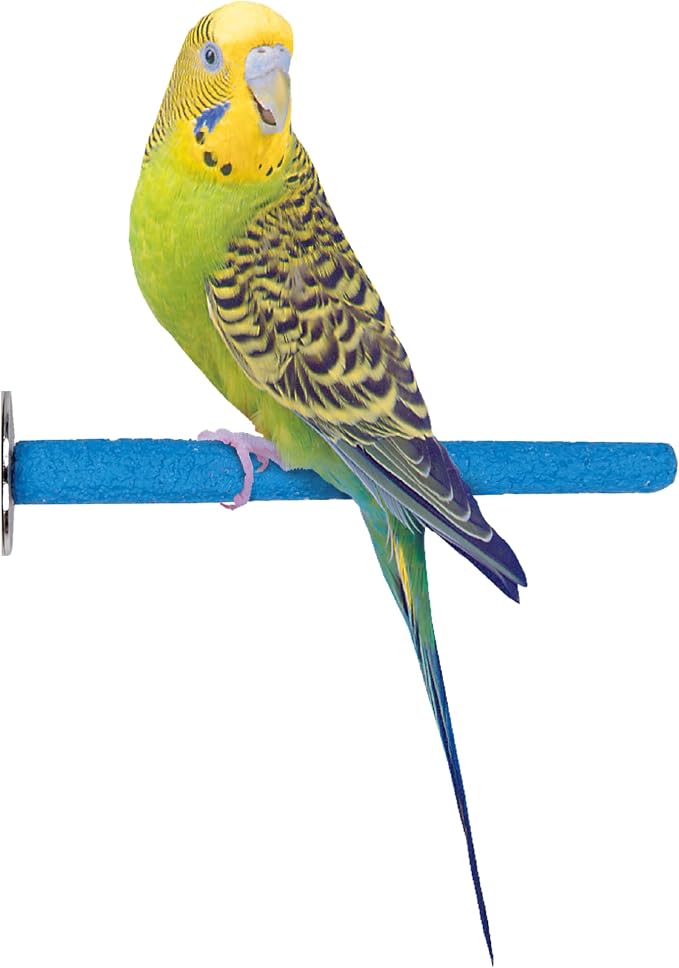PENN-PLAX Bird-Life Cement Trimmer Bird Perch – Naturally Trims Nails & Beak – - Image 6