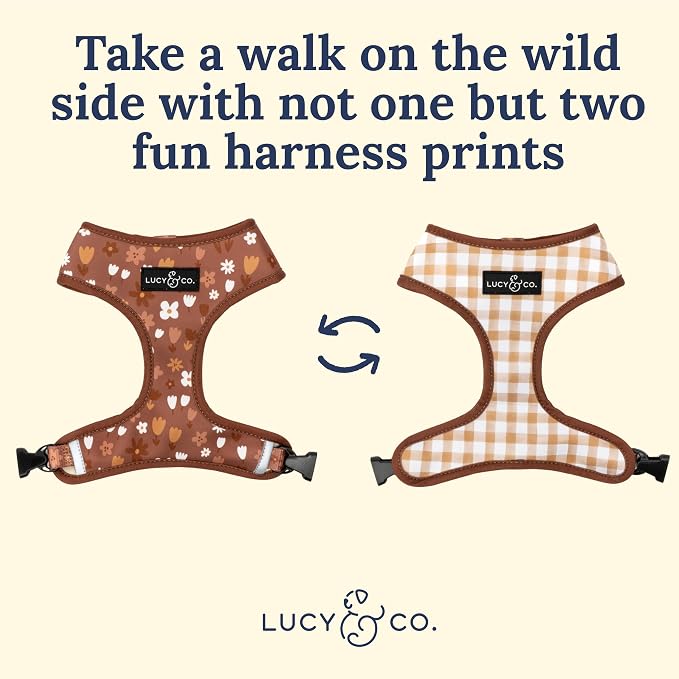 Lucy & Co. Cute Reversible Dog Harness Walking Halter - Image 3