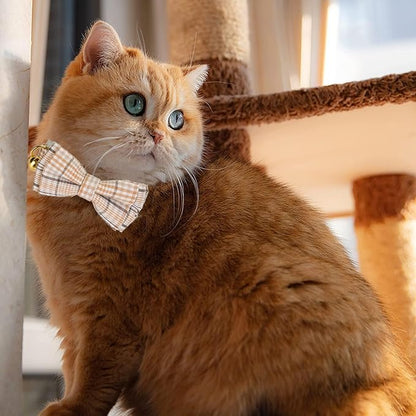 2 Pack Soft Cotton Cat Collars - Image 5