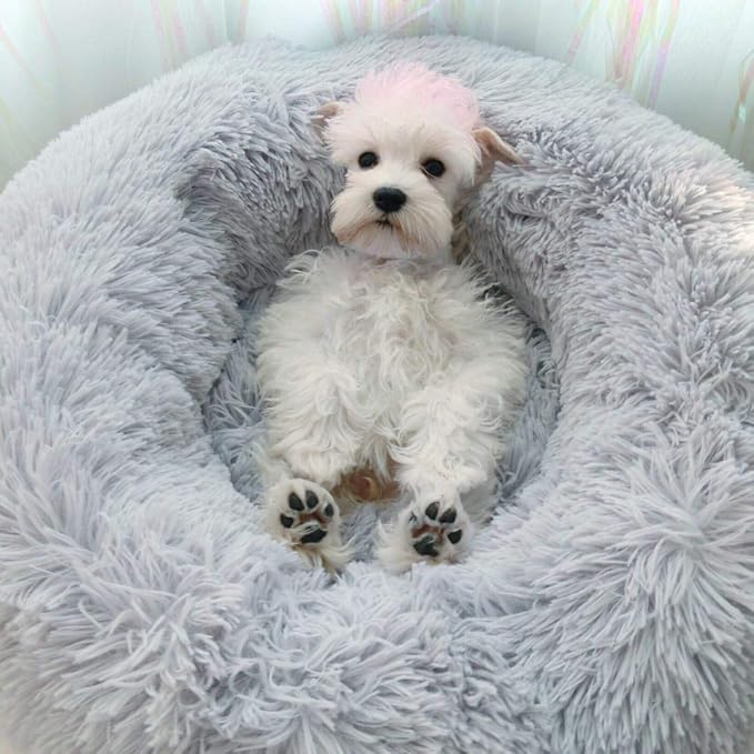 BODISEINT Modern Soft Plush Round Pet Bed - Image 2