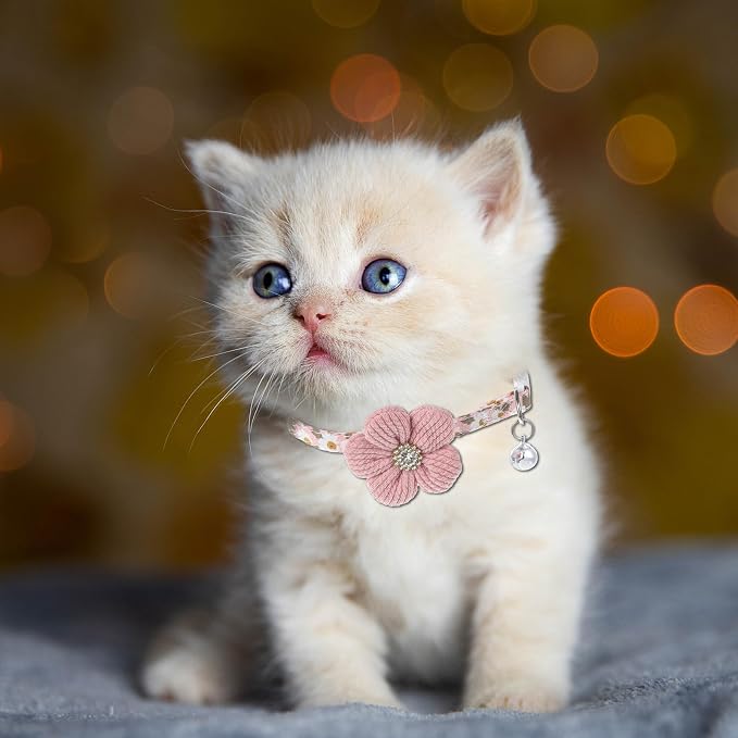 Cat Collars Breakaway Cat Collar - Image 6