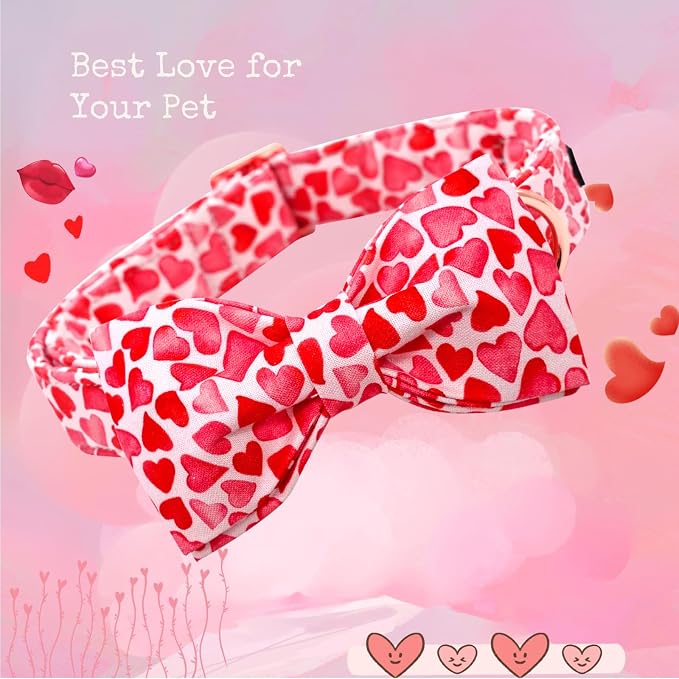 Lionheart Glory Dog Bow Collar - Image 3