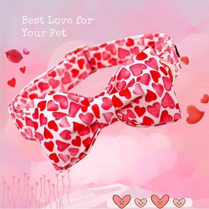 Lionheart Glory Dog Bow Collar - Image 3
