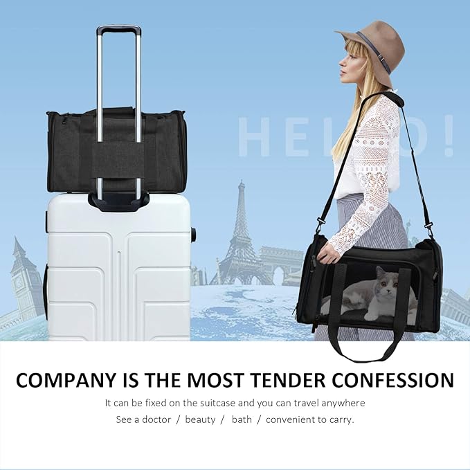 Henkelion Cat Carriers Dog Carrier Pet Carrier - Image 6