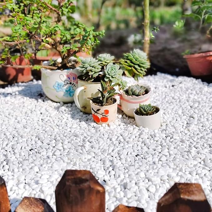 10LB Succulent and Cactus Gravel, 1/5 Inch White Natural Decorative Polished - Image 4
