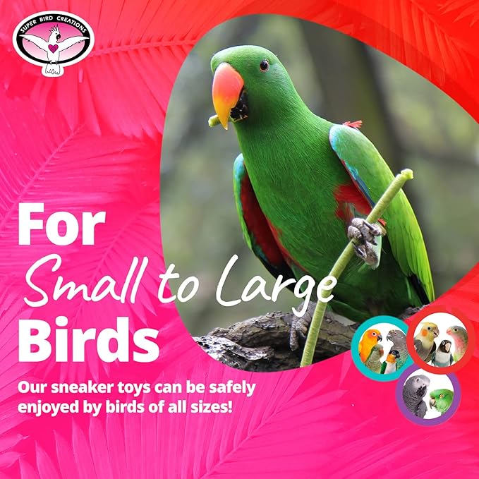 Super Bird Creations SB50010 Sneaker Bird Toy - Image 3