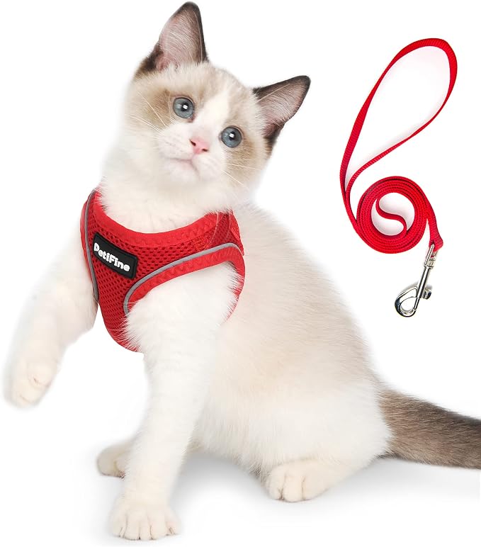 PetiFine Extra Small Step in Dog Harness and Leash Set, Cat Harness and Leash by PetiFine