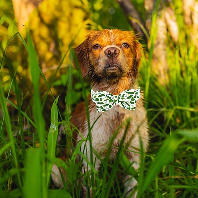 Lionheart glory Dog Bow Collar Cucumbers Print Dog Collar - Image 6