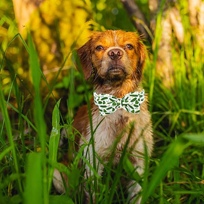 Lionheart glory Dog Bow Collar Cucumbers Print Dog Collar - Image 6