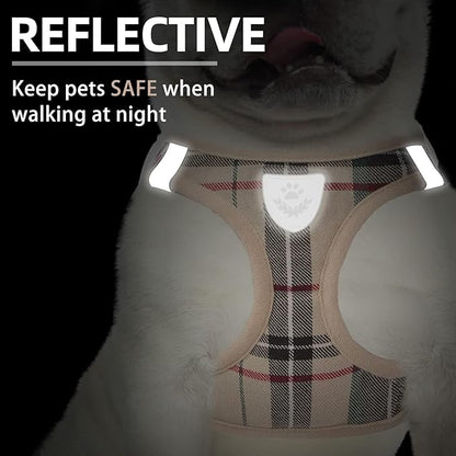 PUPTECK Adjustable Pet Harness Collar &Leash Set Step in - Image 5