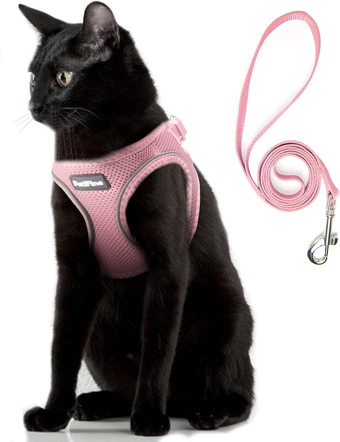 PetiFine Extra Small Step in Dog Harness and Leash Set, Cat Harness and Leash by PetiFine