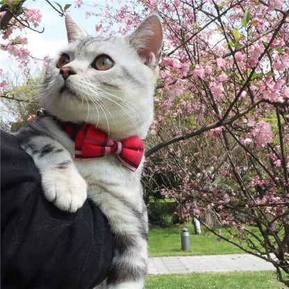 Cat Collar Breakaway with Bell and Bow Tie, Plaid Design Adjustable Safety - Image 6