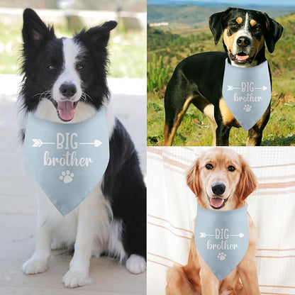 Big Brother Baby Announcement Dog Bandana - Image 4