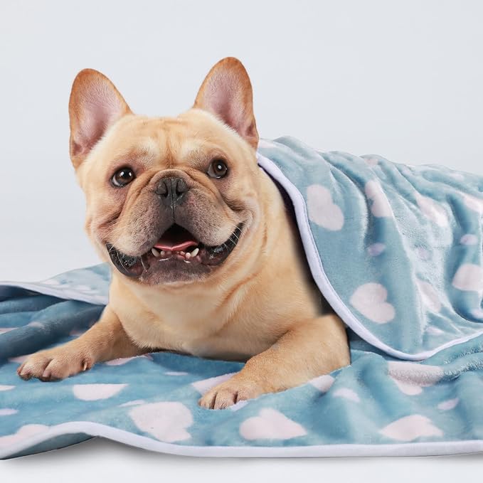 1 Pack 3 Blankets Super Soft Cute Dot Pattern Pet Blanket Flannel Throw - Image 7