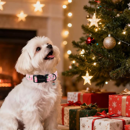 Unique Style Paws Christmas Dog Collar, Lightweight & Adjustable Pet Collar - Image 5