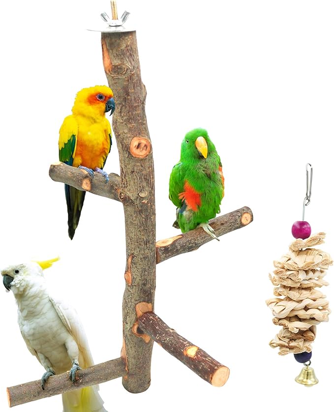Bird Perch Nature Apple Hard Wood Stand, Parrot Stand Toy Branch Platform Paw by suruikei