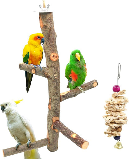 Bird Perch Nature Apple Hard Wood Stand, Parrot Stand Toy Branch Platform Paw by suruikei