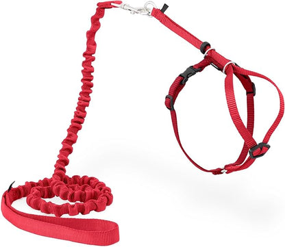 PetSafe Come With Me Kitty Cat Harness & Bungee Leash by PetSafe