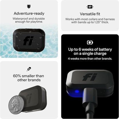 Fi Mini GPS Tracker for Dogs — 6-Month Membership Included — Smart Pet Tracking - Image 6