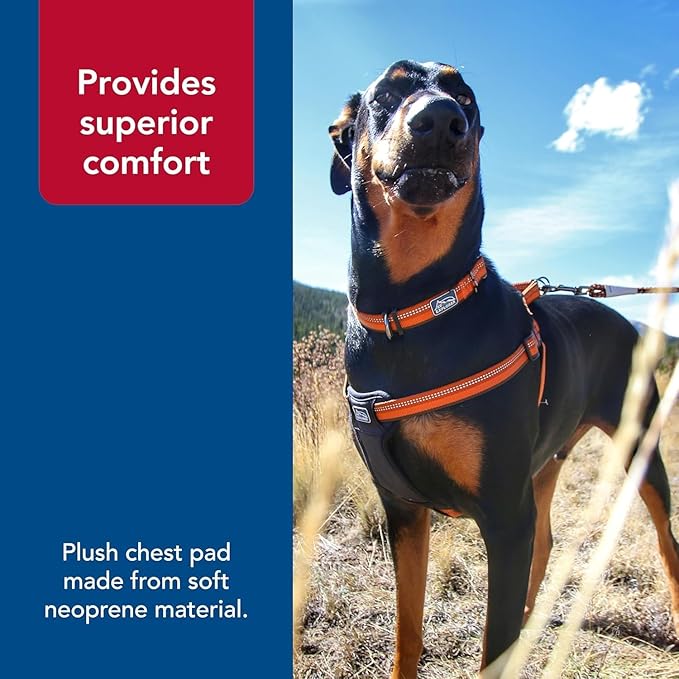 Coastal Pet K9 Explorer Reflective Adjustable Padded Dog Harness - Image 5