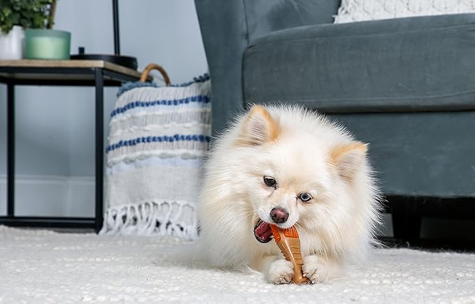 Hartz Chew ‘n Clean Chew Toy and Treat in One Chicken Flavored Drumstick Dog Toy - Image 6