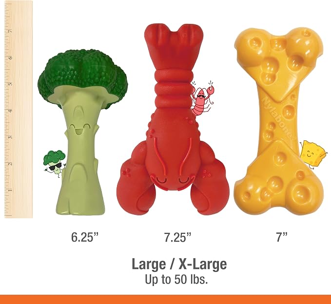 Nylabone Power Chew Toy Bundle, Cute Dog Toys - Image 5